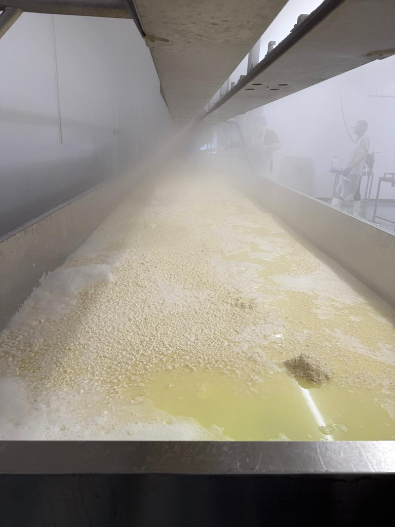 CURDS & WHEY