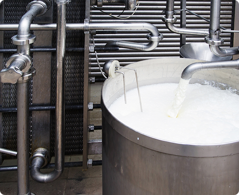 BRITISH COW'S MILK